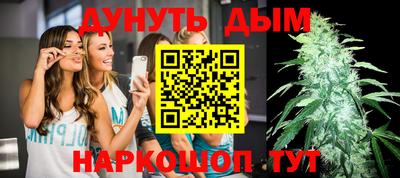 тгк Обь