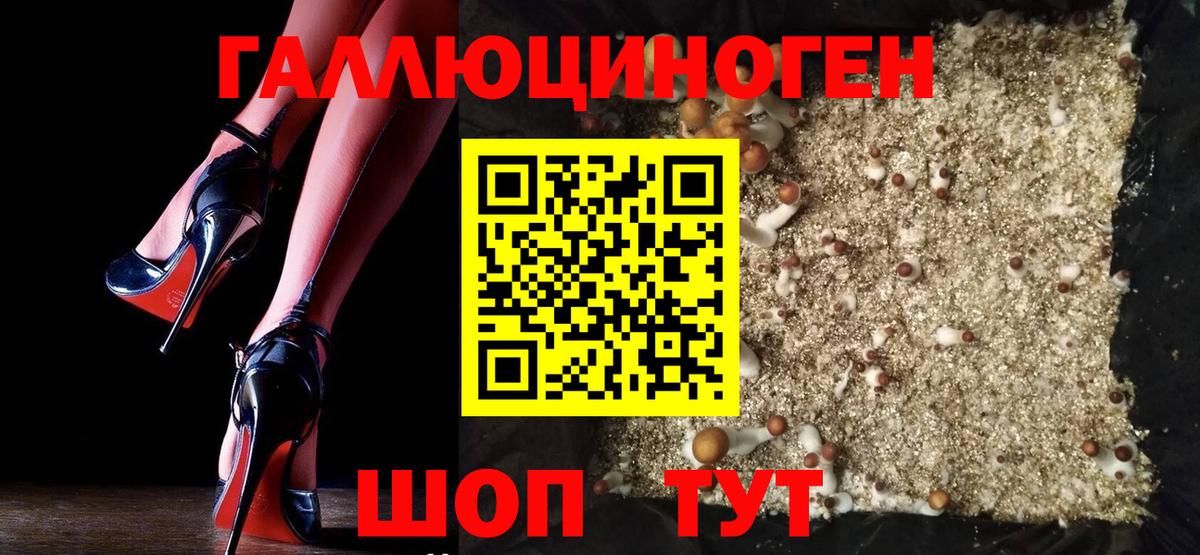 Галлюциногенные грибы GOLDEN TEACHER  Вход с VPN  Рузаевка 